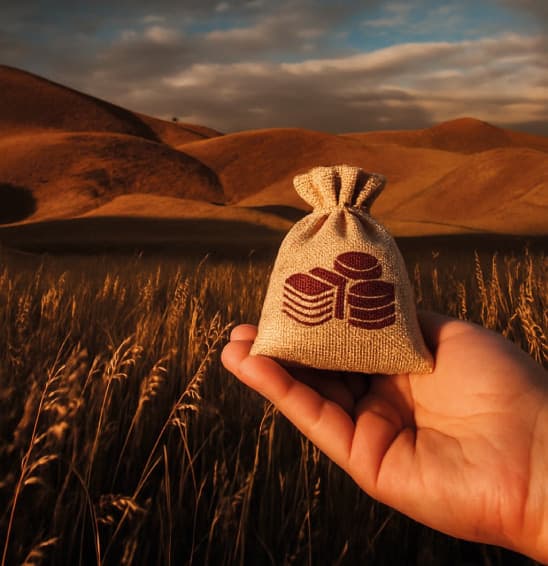 Ranching 4 Numbers equipo contable y agropecuario